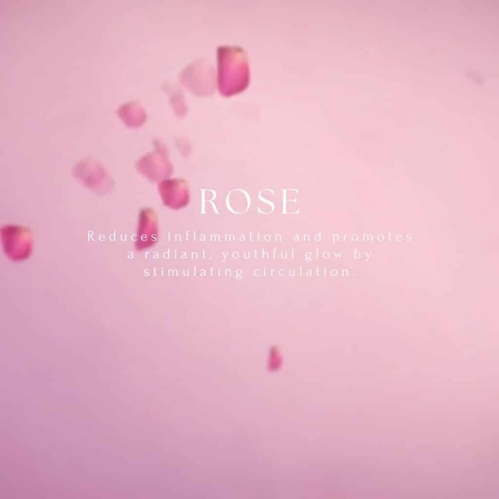 Fjordwell Faceroll rose