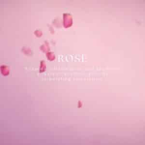 Fjordwell Faceroll rose